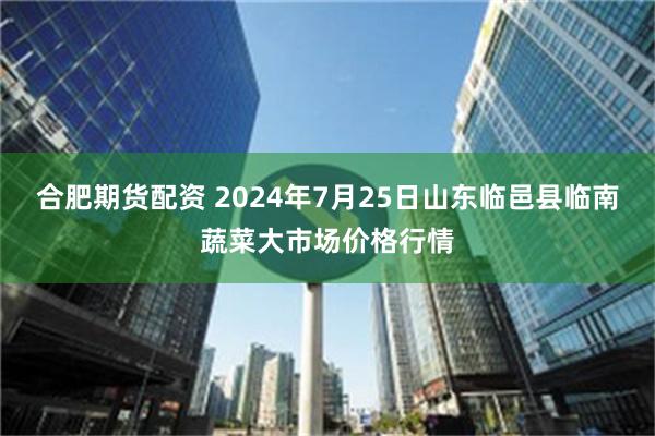 合肥期货配资 2024年7月25日山东临邑县临南蔬菜大市场价格行情