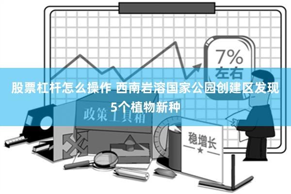 股票杠杆怎么操作 西南岩溶国家公园创建区发现5个植物新种