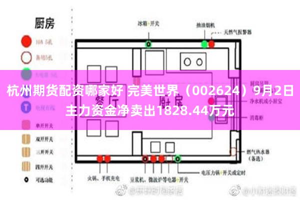 杭州期货配资哪家好 完美世界（002624）9月2日主力资金净卖出1828.44万元