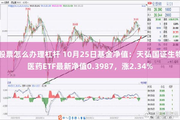 股票怎么办理杠杆 10月25日基金净值：天弘国证生物医药ETF最新净值0.3987，涨2.34%