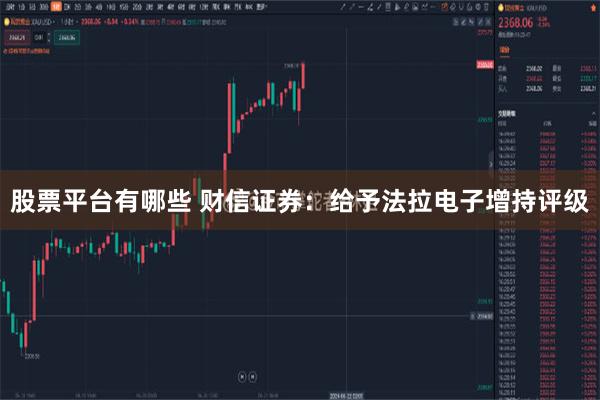 股票平台有哪些 财信证券：给予法拉电子增持评级