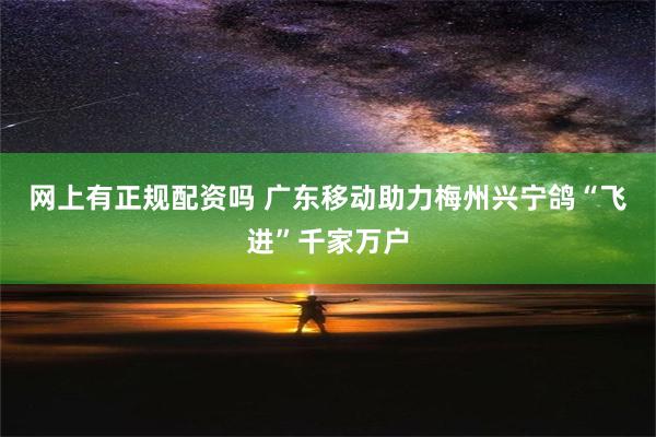 网上有正规配资吗 广东移动助力梅州兴宁鸽“飞进”千家万户