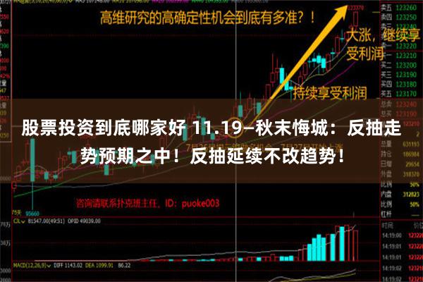 股票投资到底哪家好 11.19—秋末悔城：反抽走势预期之中！反抽延续不改趋势！