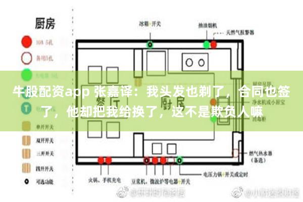 牛股配资app 张嘉译：我头发也剃了，合同也签了，他却把我给换了，这不是欺负人嘛