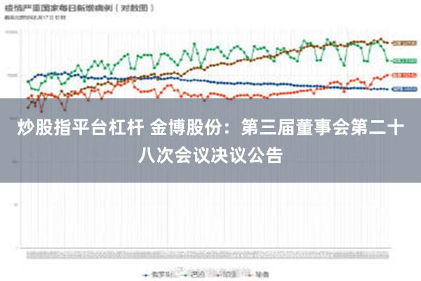 炒股指平台杠杆 金博股份：第三届董事会第二十八次会议决议公告